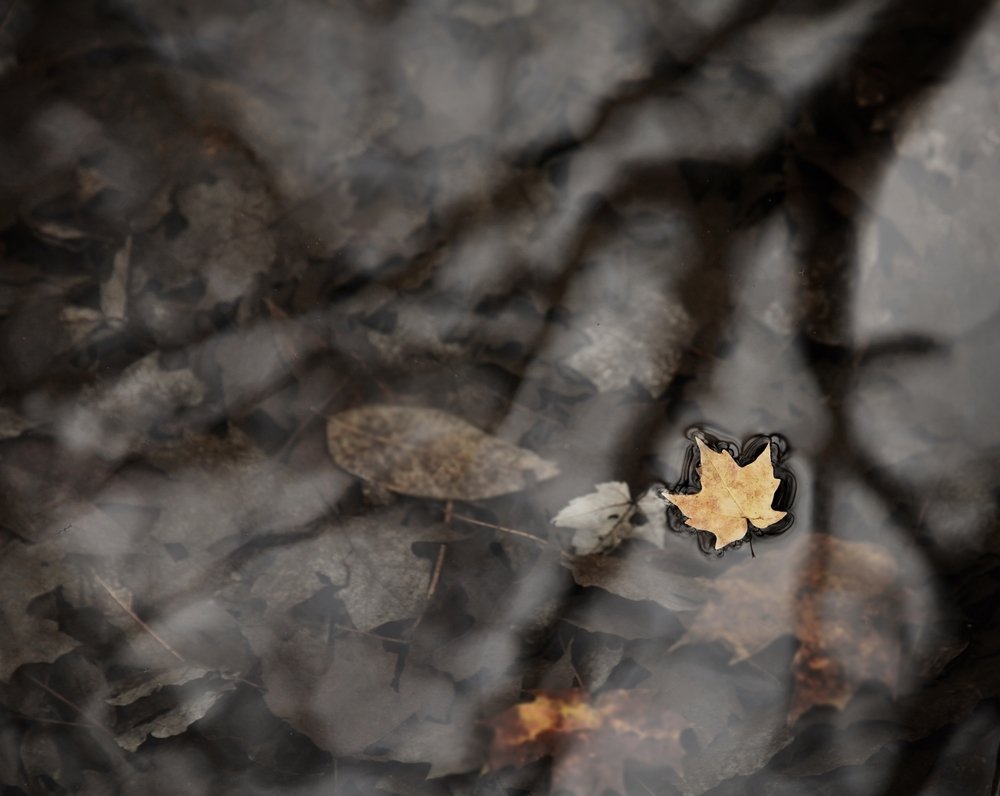 Photograph by Lana Medved