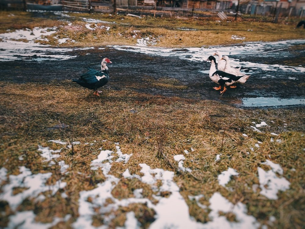 Привет, незнакомец!