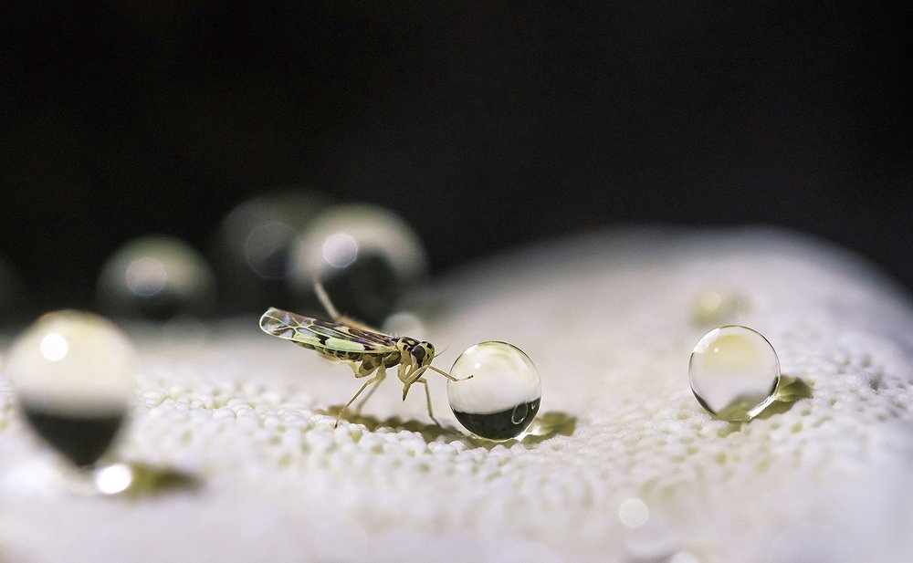 Удар! Еще удар!