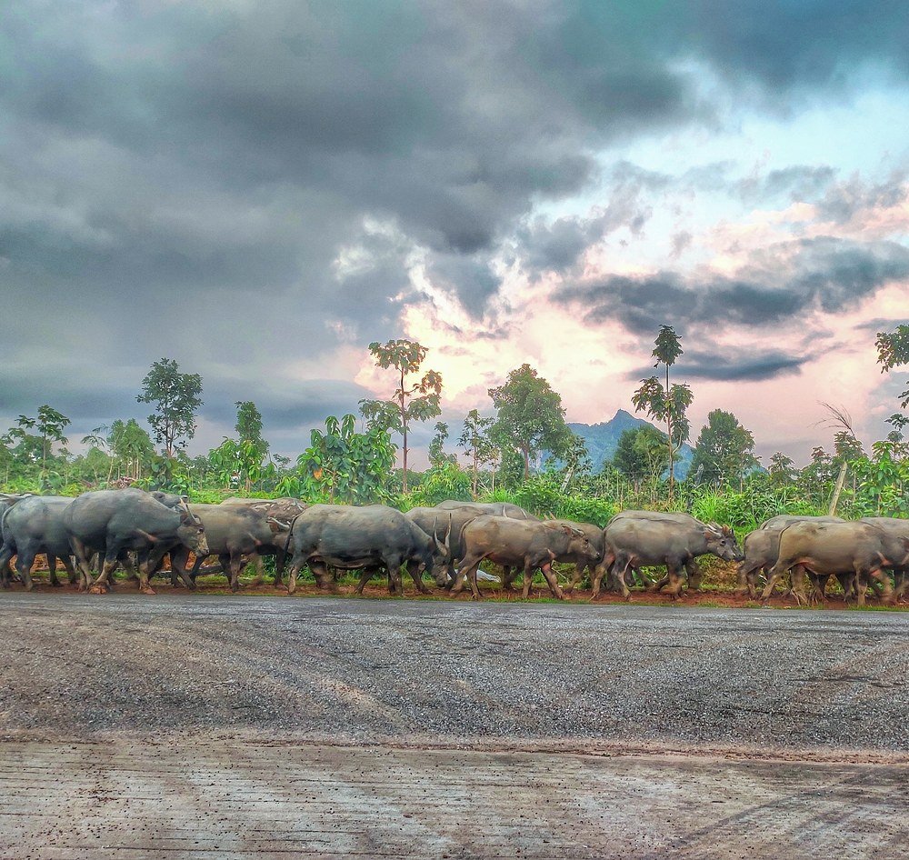 Photograph by Lin Thein Htay