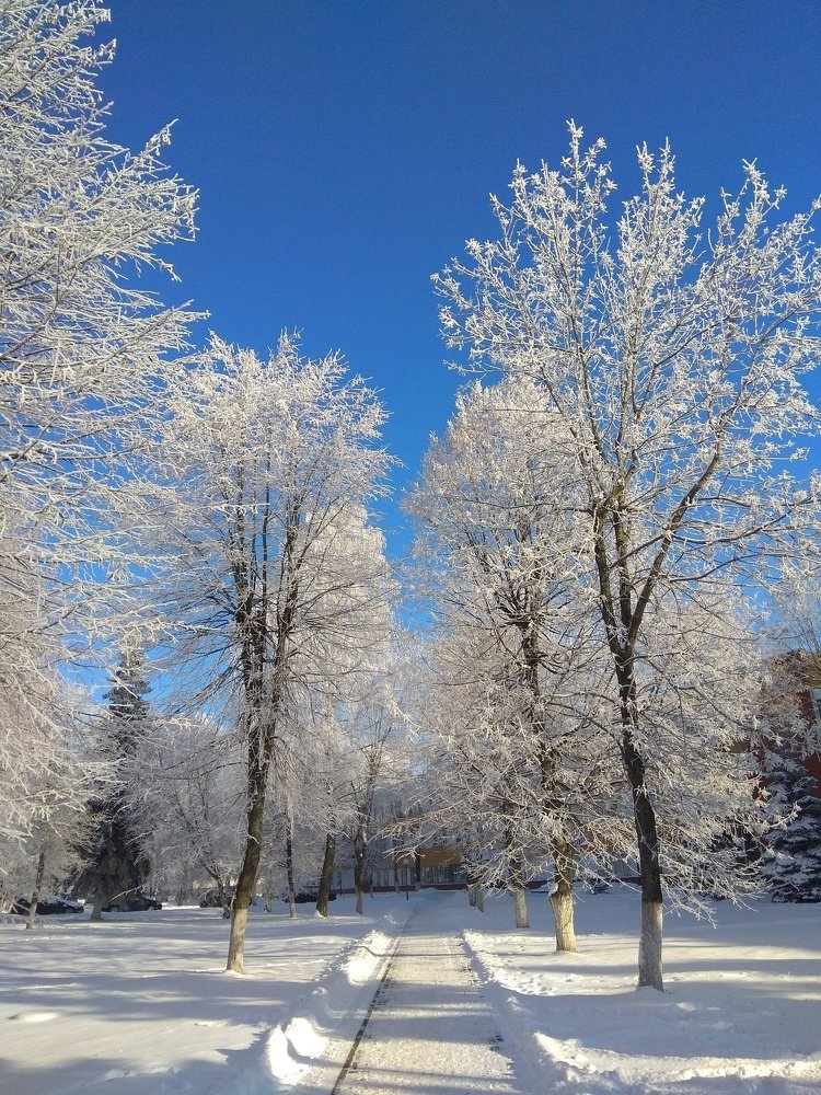 Photograph by Олеся Бронзова