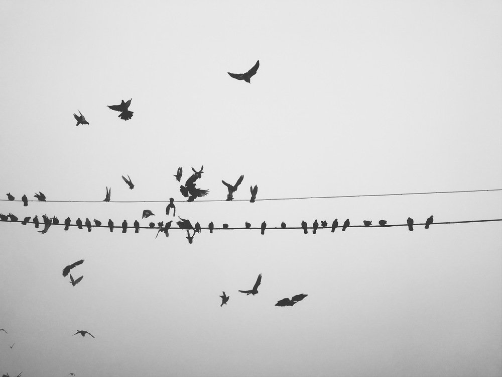 Photograph by Andrii Chagovets