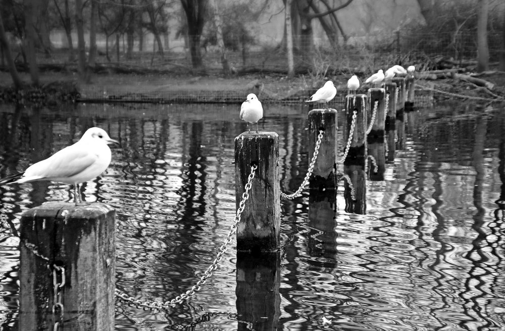 Photograph by Irina Radzinskaya