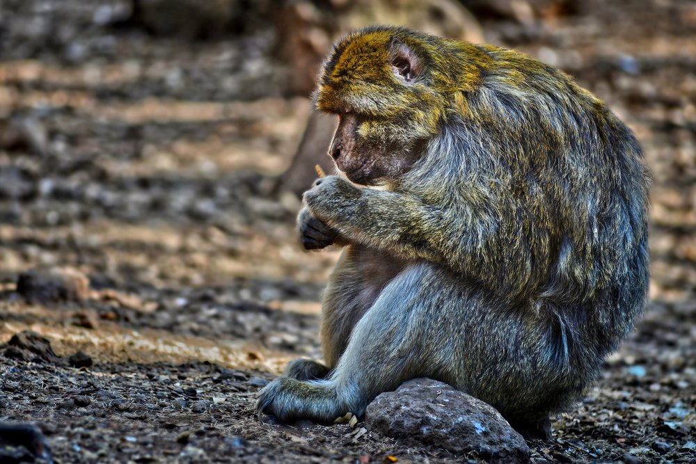 Photograph by moussa idrissi