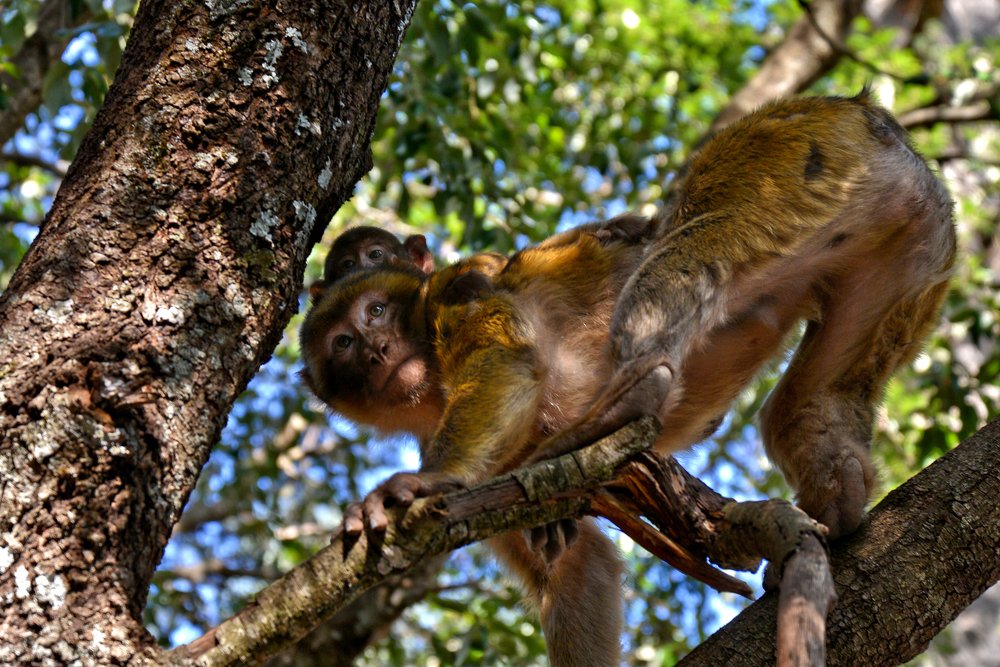 Photograph by moussa idrissi