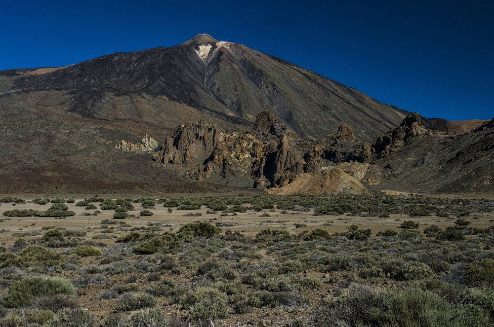 Photograph by Marina Lucenko