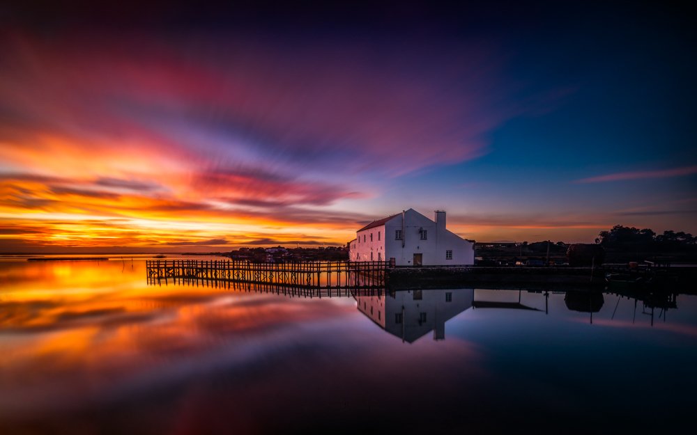 Photograph by Rui Pinto