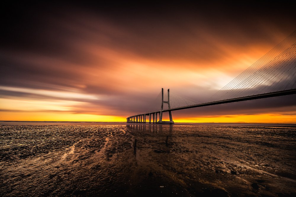 Photograph by Rui Pinto