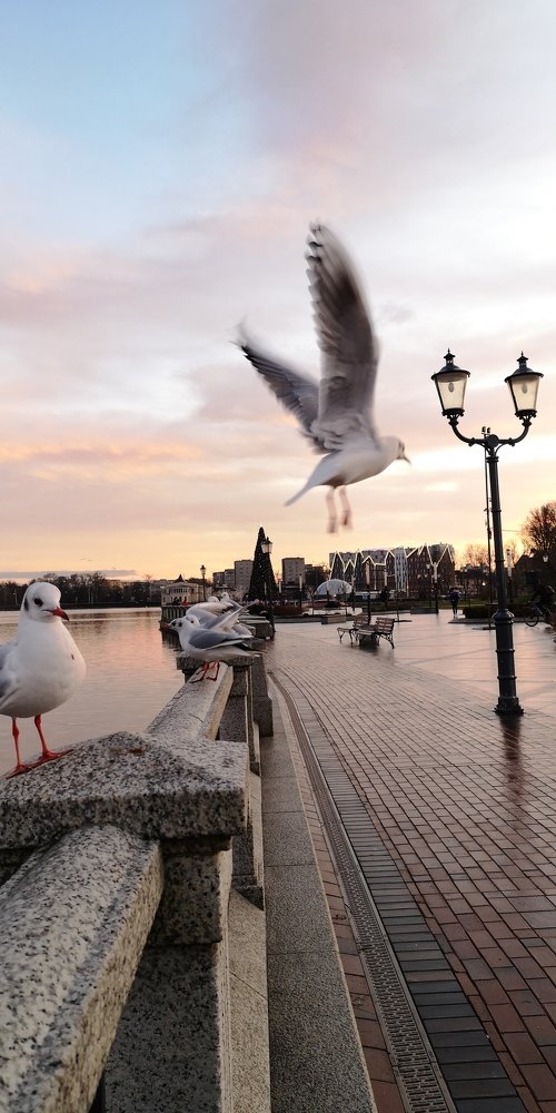 Photograph by Людмила Комарова