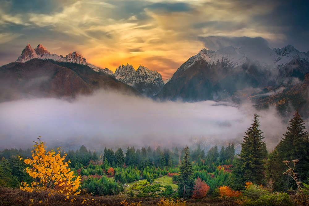 autumn and fog