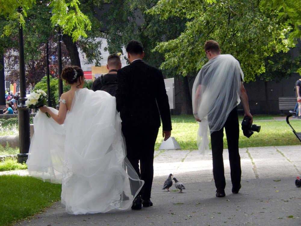 Two newlywed couples