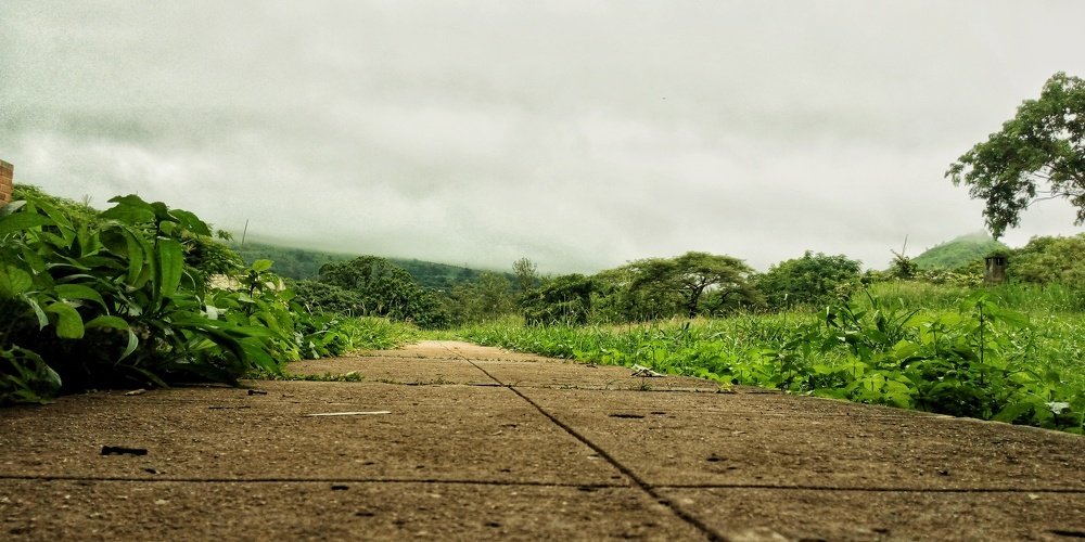 Road to happiness