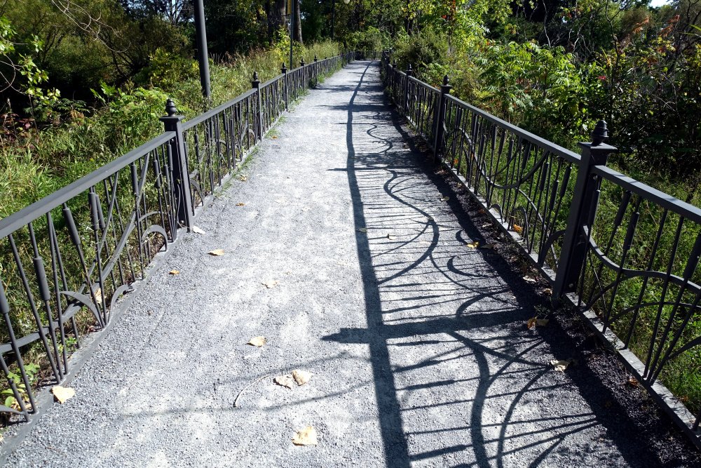 Photograph by Sylvie D.