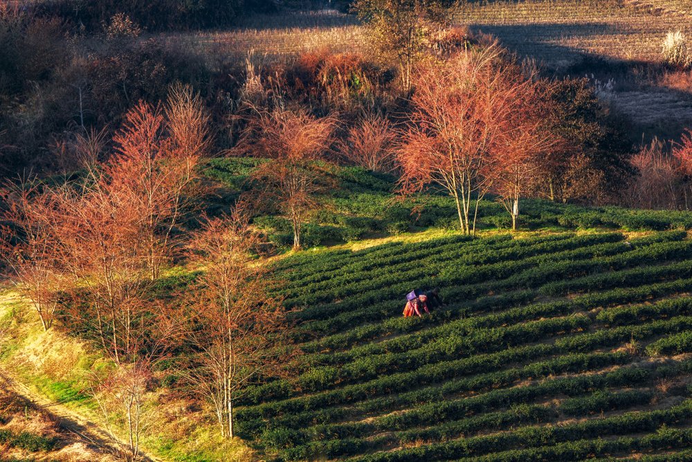 Photograph by Hoàng Hiếu