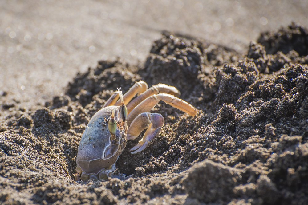 Photograph by Ekaterina Fadeeva