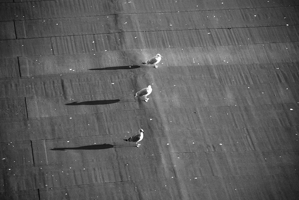 Photograph by Ekaterina Fadeeva