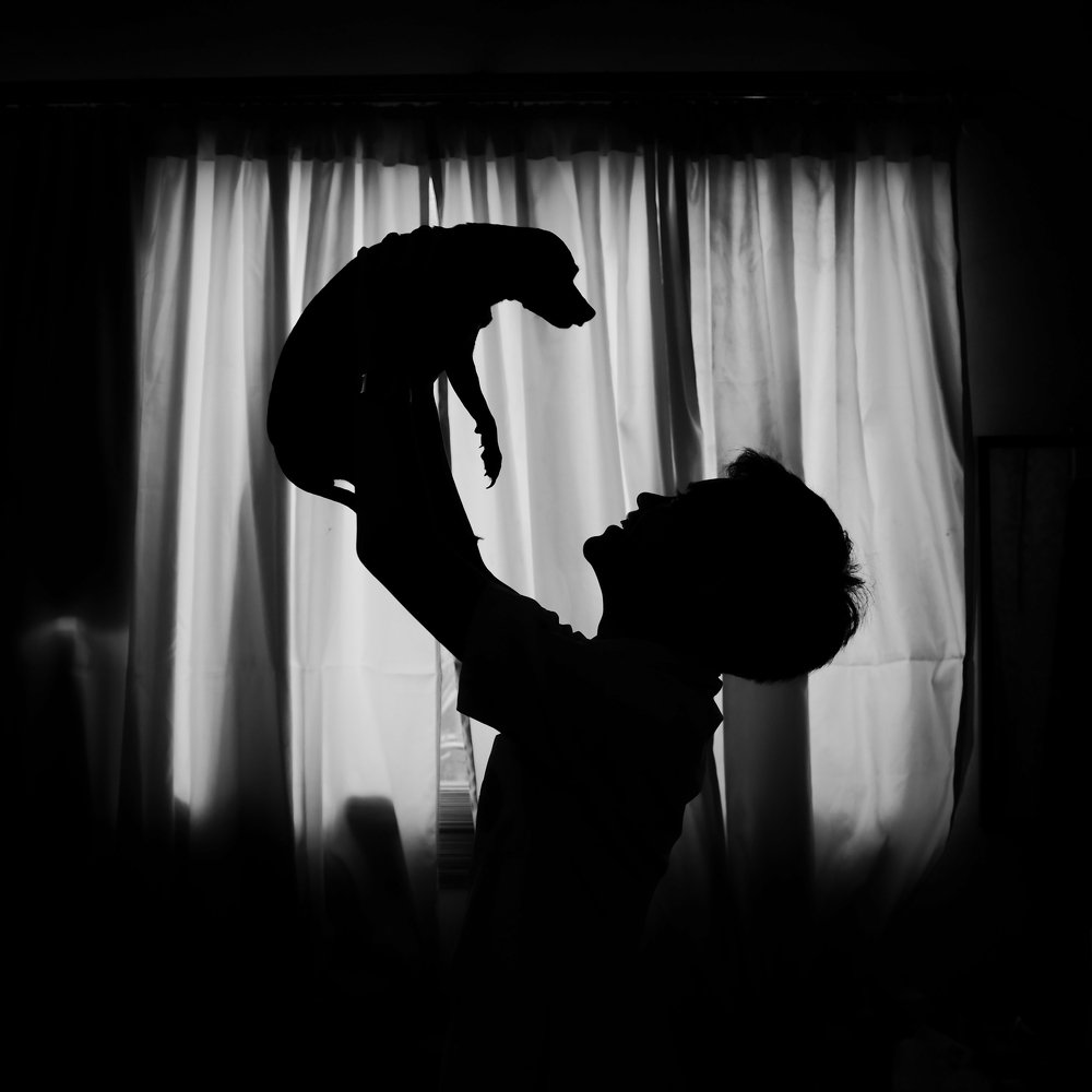 Photo #4190043