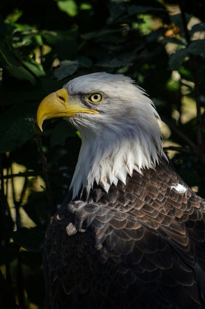 Photograph by Nadezhda Rav