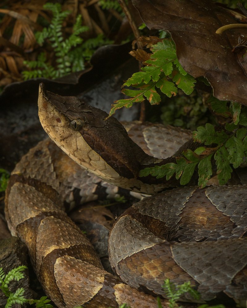 Photograph by Ryan Hevern