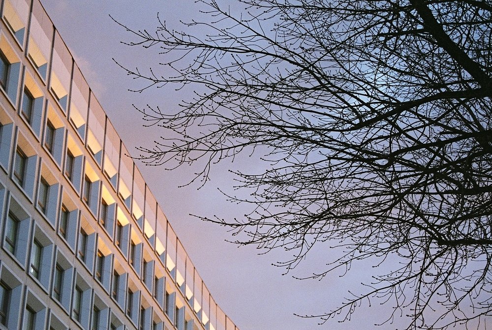 Photograph by Молодкина Ксения