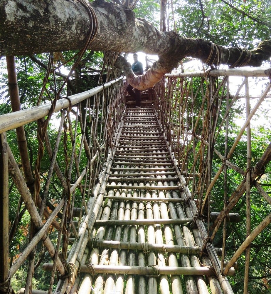 Photograph by suparna ghosh