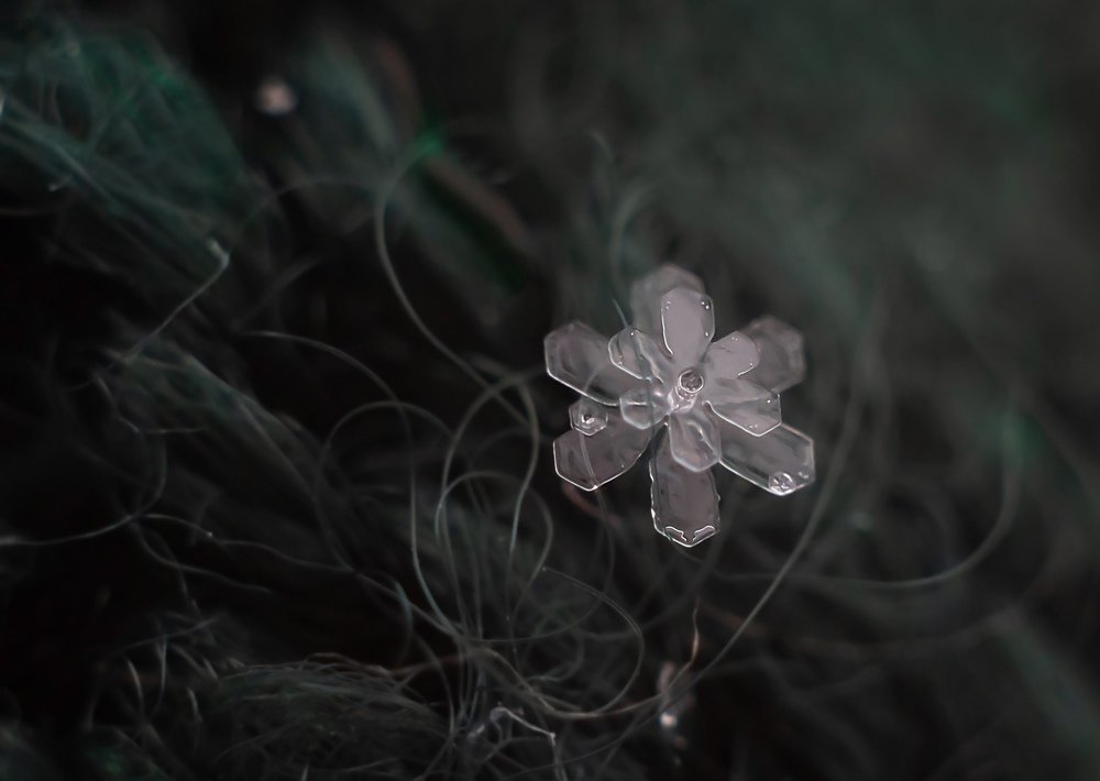 Photograph by Юлия Яремко