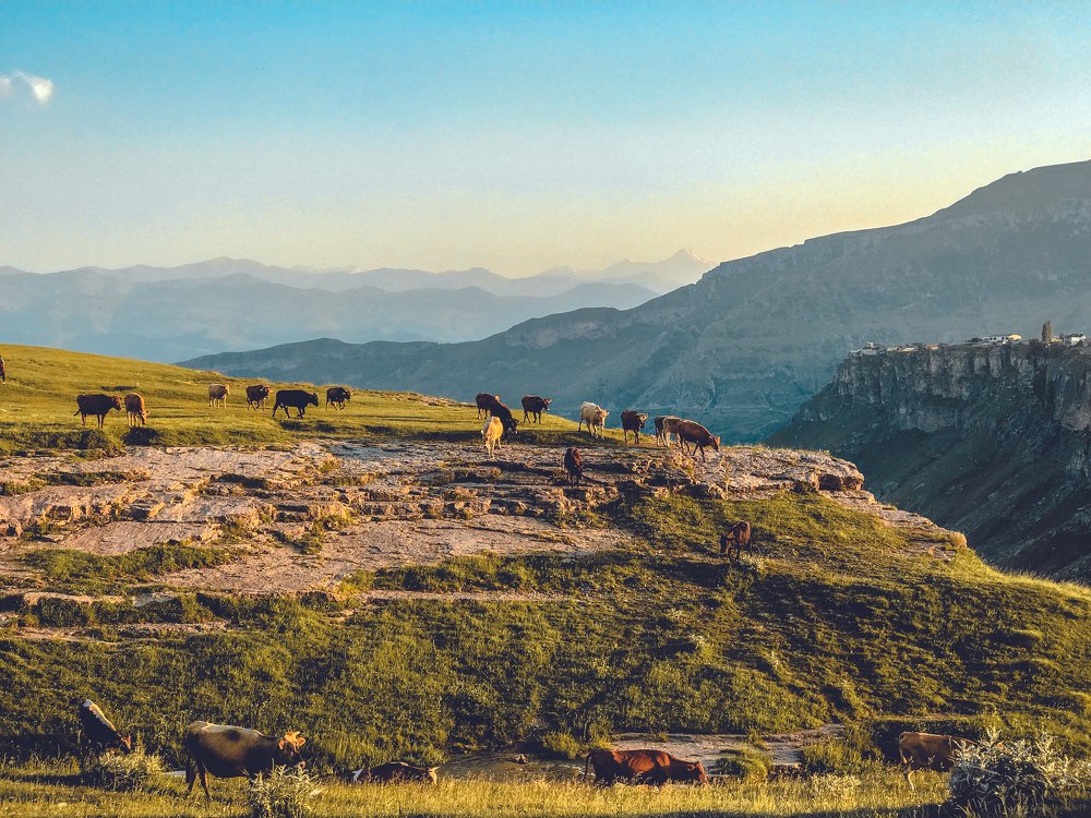 Горная жизнь