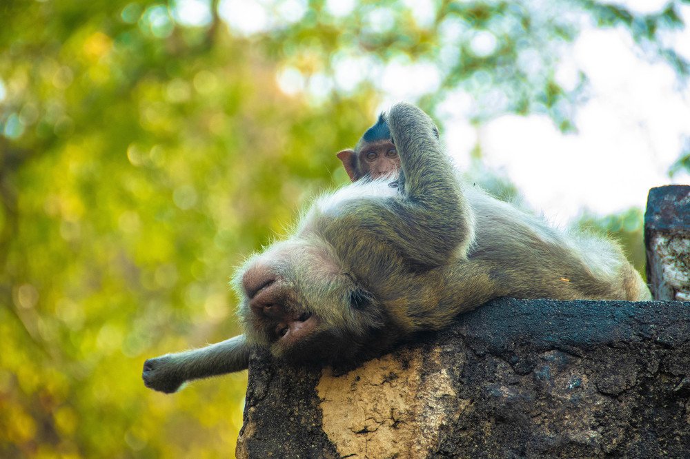 Photograph by Suksiri Natcha