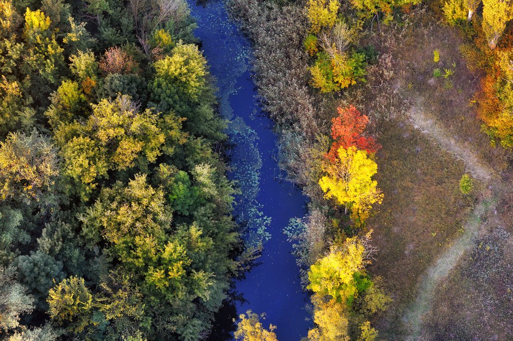 Осенний мотив