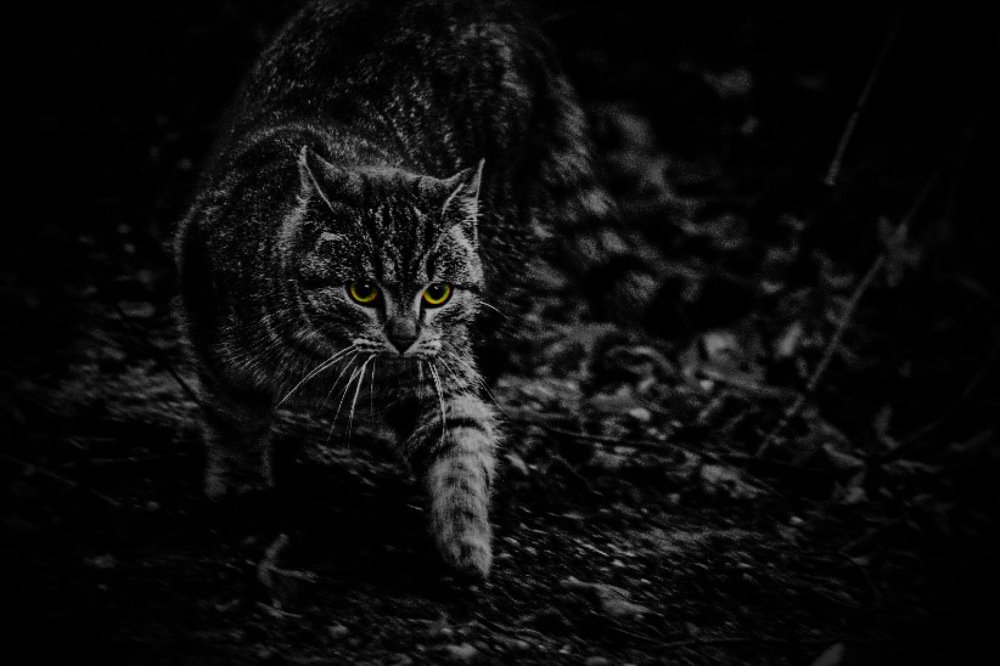 Photograph by Sabina Żmija