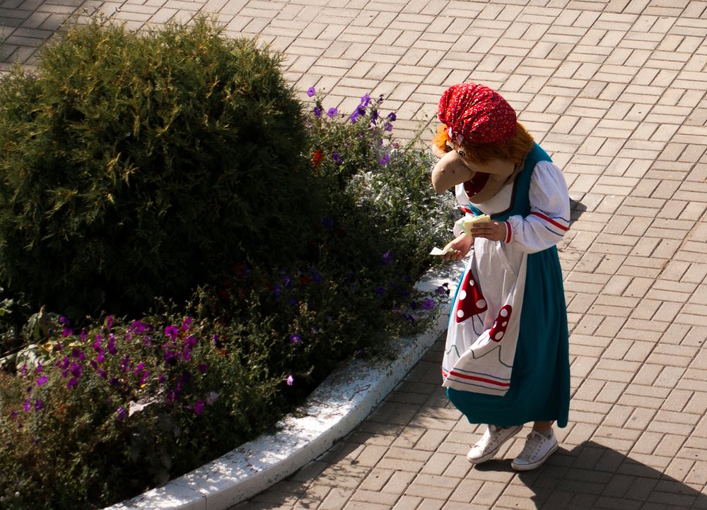 Фотография автора Владимир Ступинский