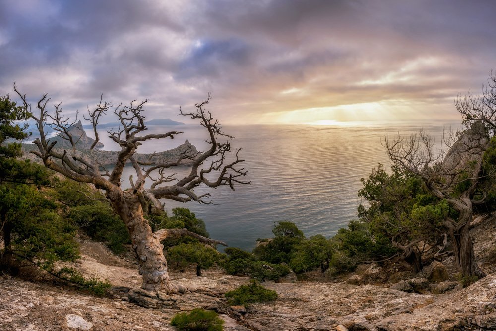 Photograph by Юлия Шумляева