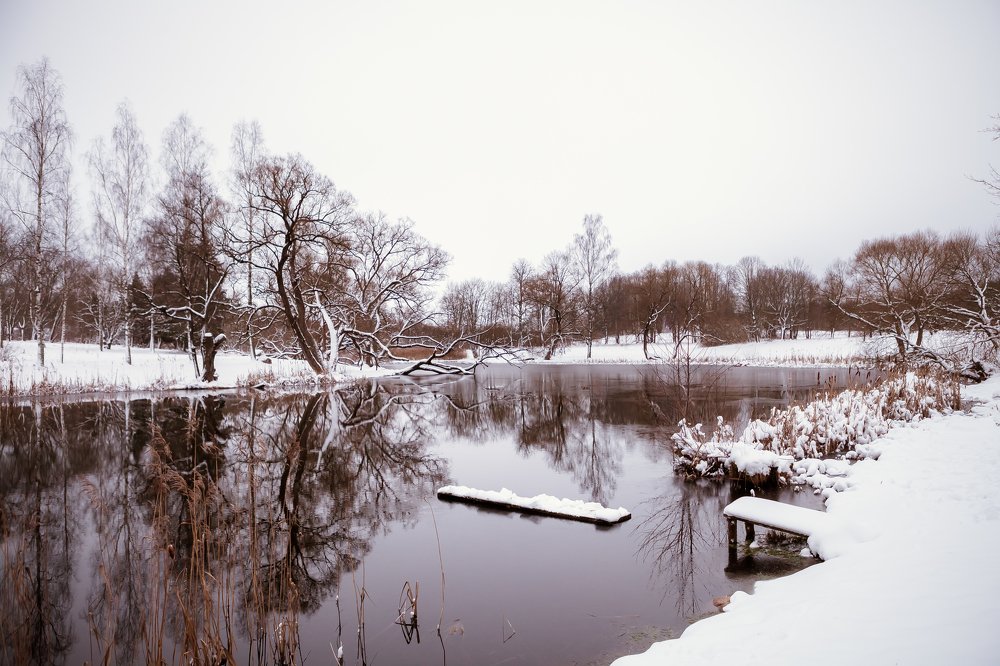 Photograph by Дмитрий