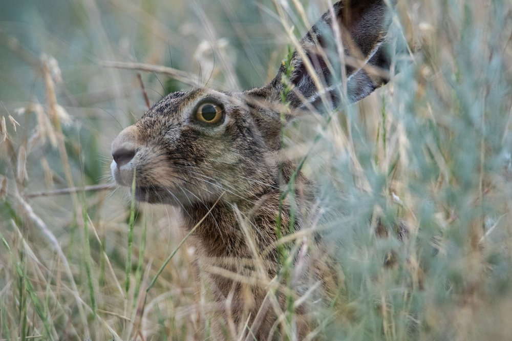 Photograph by Цветков Сергей