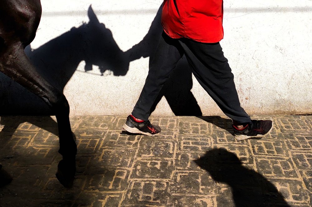 Photograph by kartik pahuja