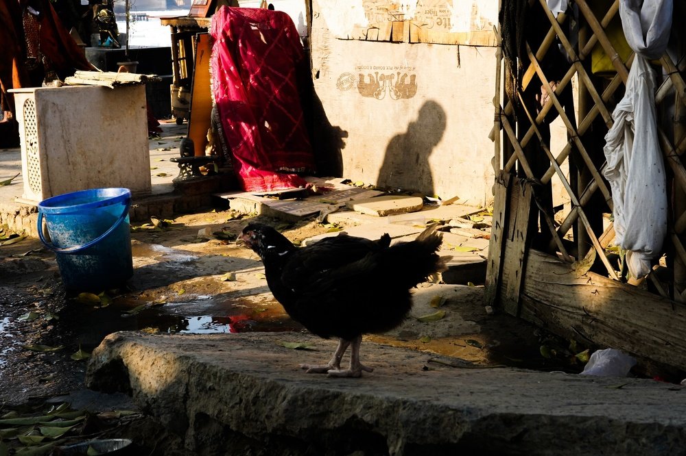 Photograph by kartik pahuja