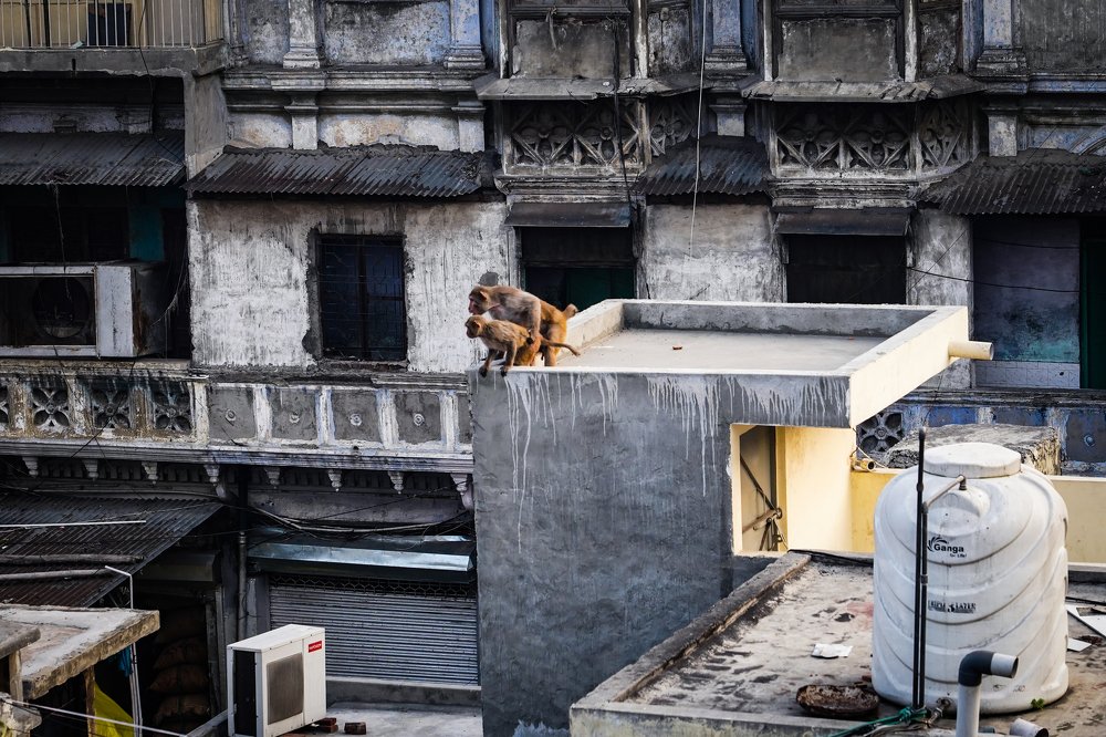 Photograph by kartik pahuja