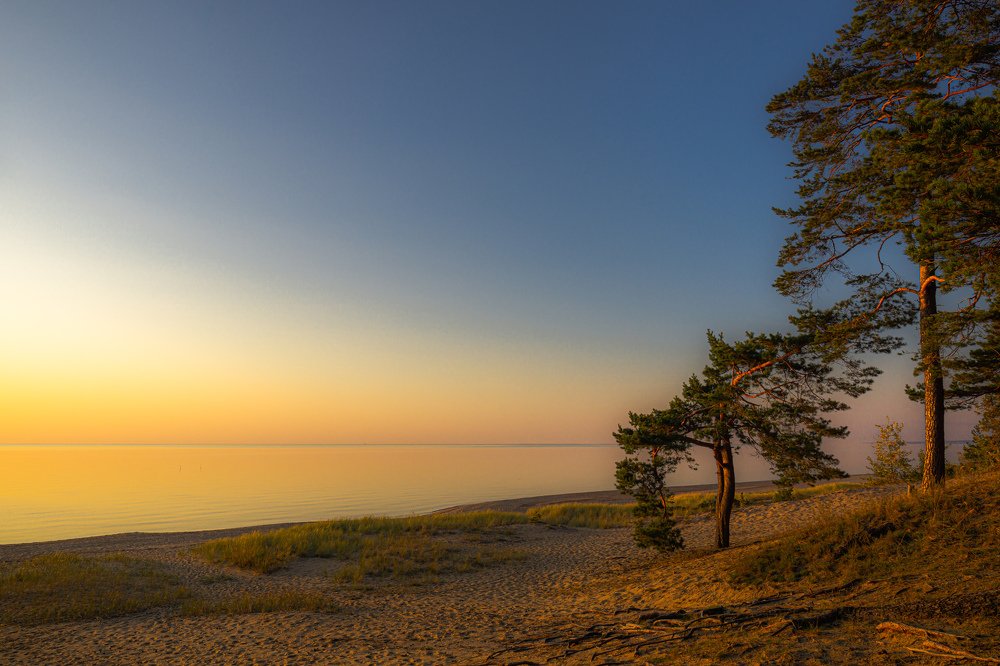 Photograph by 
