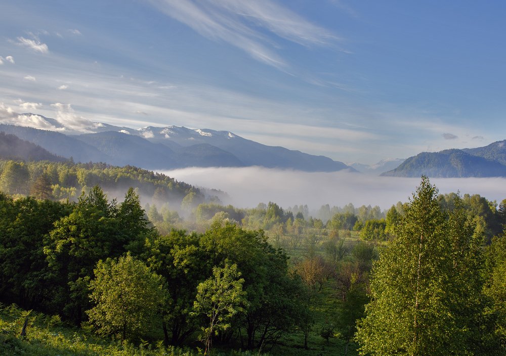 Утро Телецкого озера.