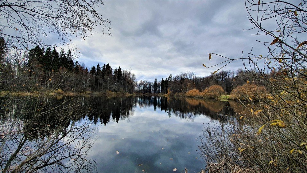 Photograph by Светлана Андреевна