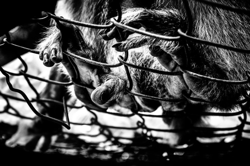 A feeling with doesn't freedom