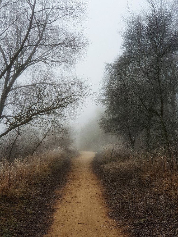 Photograph by Вера Крейдич