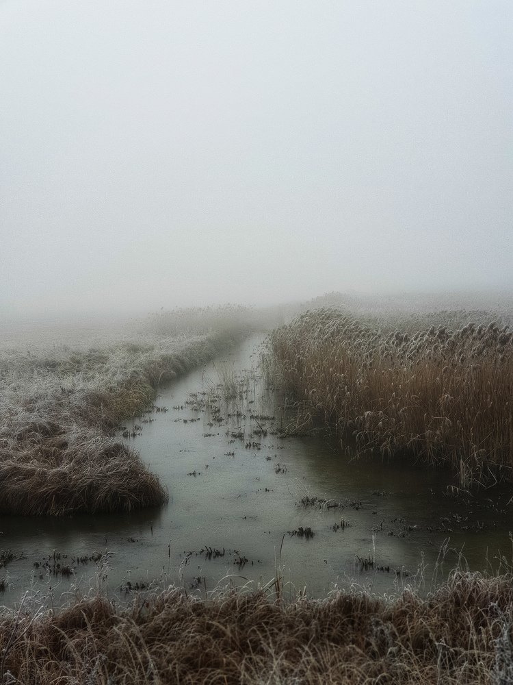 Photograph by Вера Крейдич