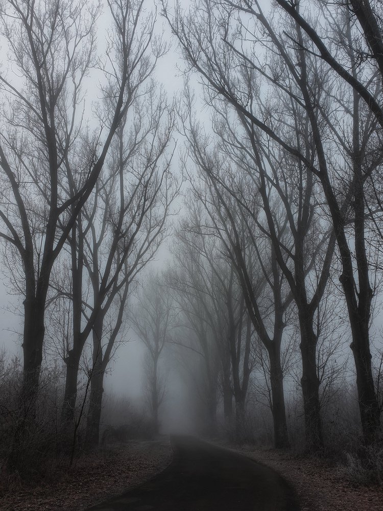 Photograph by Вера Крейдич