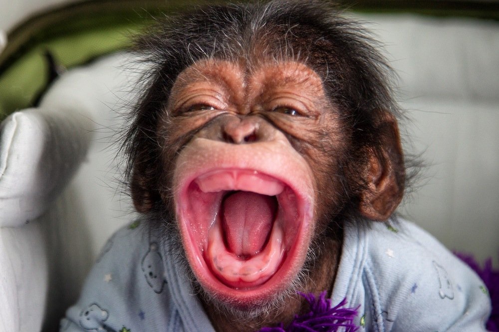 Photograph by Евгений Минин