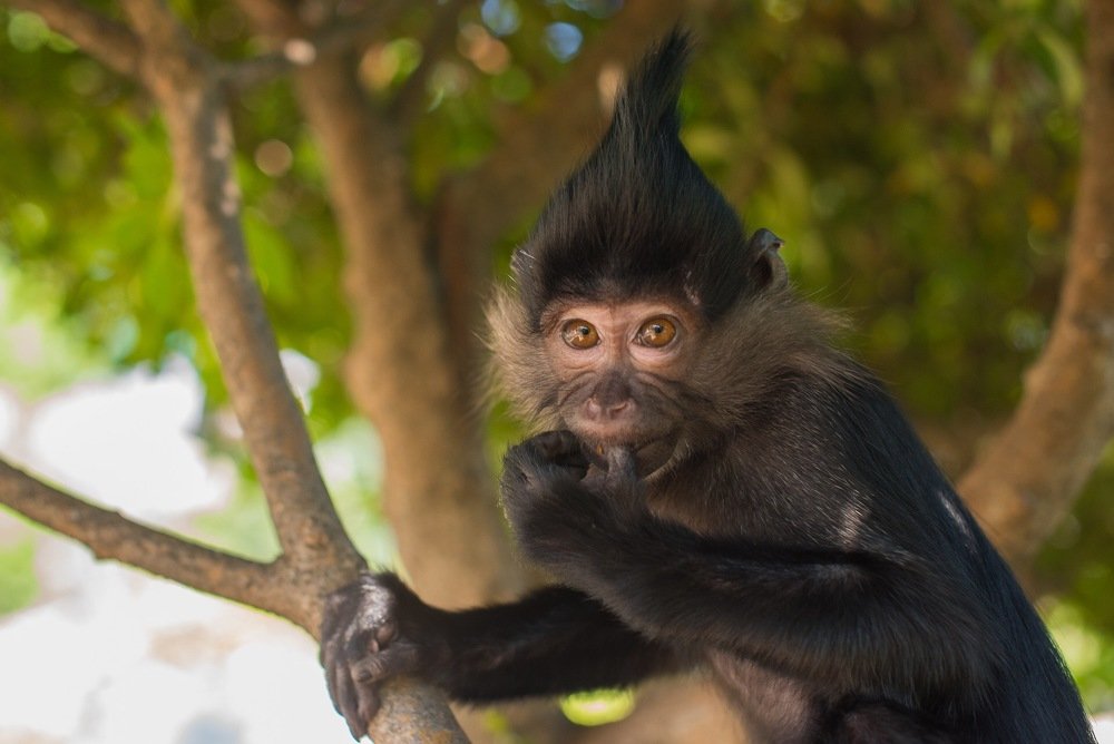 Photograph by Евгений Минин