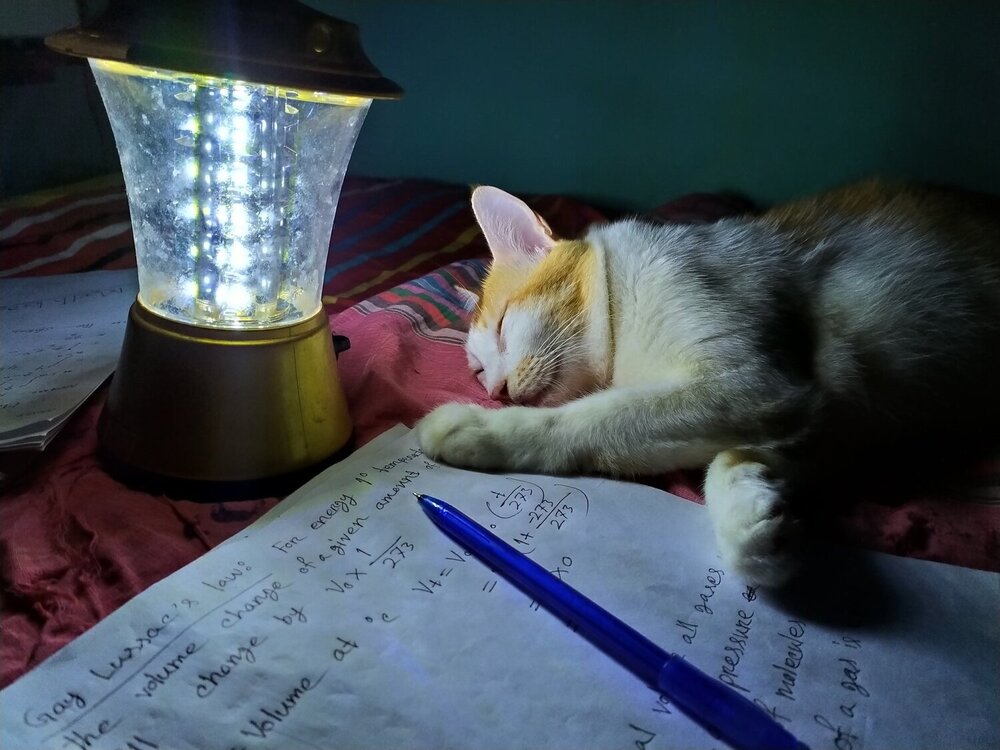 Tired!