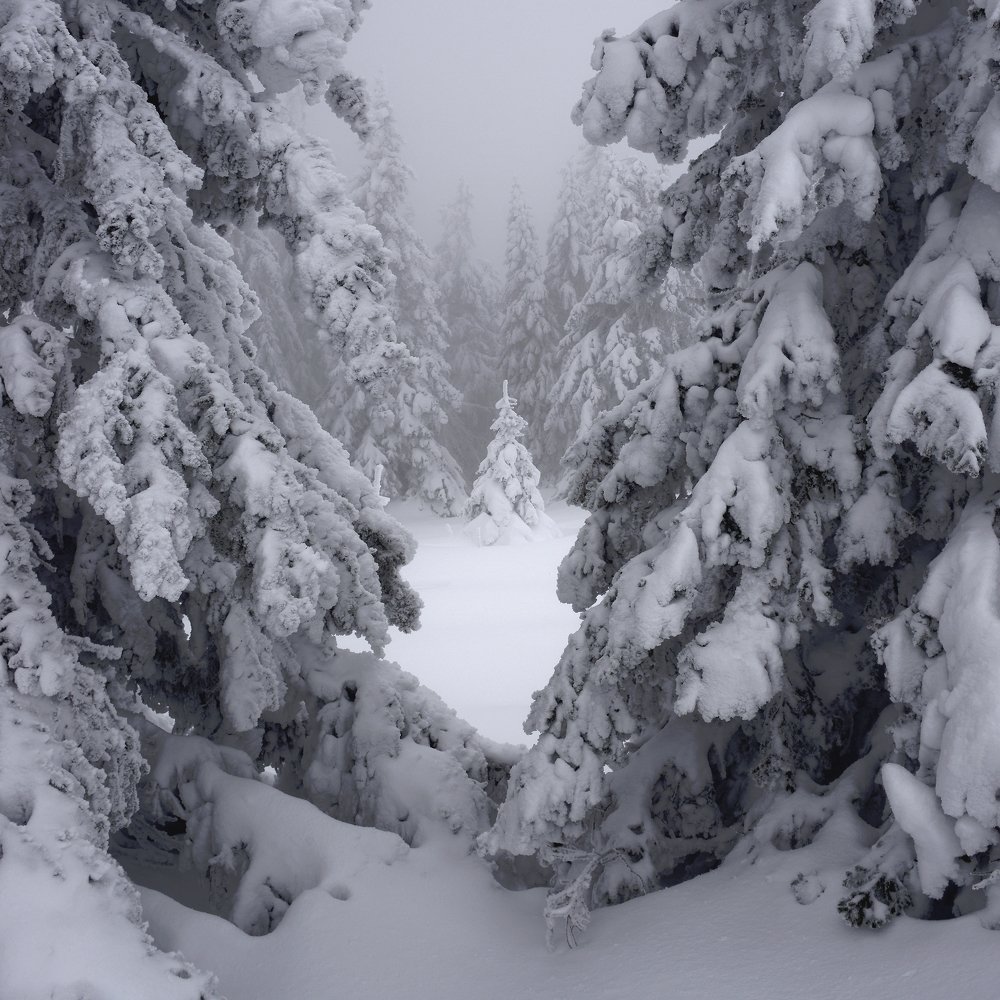 Photograph by Павел Фёдоров