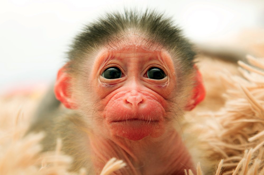 Photograph by Евгений Минин