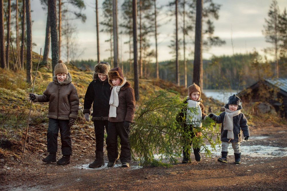 операция ёлка